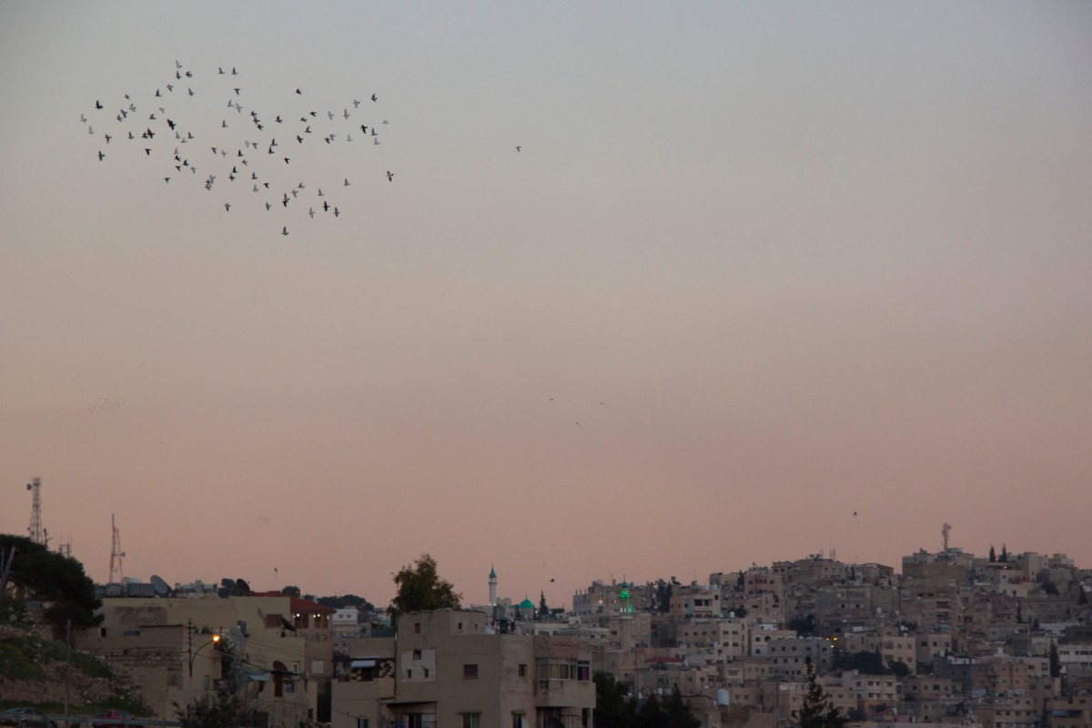 During dusk there is a special atmosphere in the capital. Flocks of pigeons circle the sky while you can hear the Muezzin singing from his mosque.